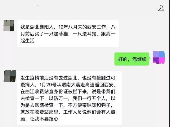 疫情期间可以带猫上高速吗 我的猫竟因此被焚烧！