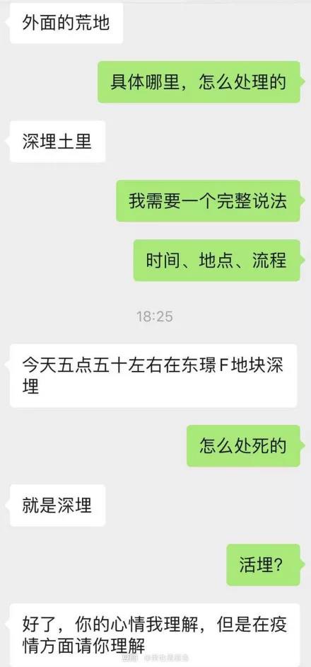 疫情期间可以带猫上高速吗 我的猫竟因此被焚烧！