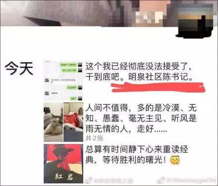疫情期间可以带猫上高速吗 我的猫竟因此被焚烧！