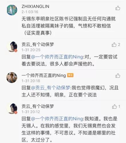 疫情期间可以带猫上高速吗 我的猫竟因此被焚烧！