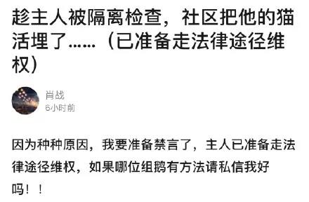 疫情期间可以带猫上高速吗 我的猫竟因此被焚烧！