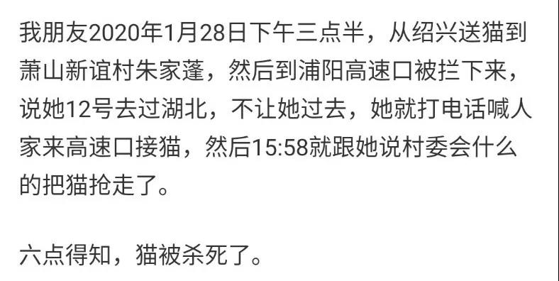 猫狗会不会感染新型冠状病毒 社区有权以此捕杀猫狗吗?