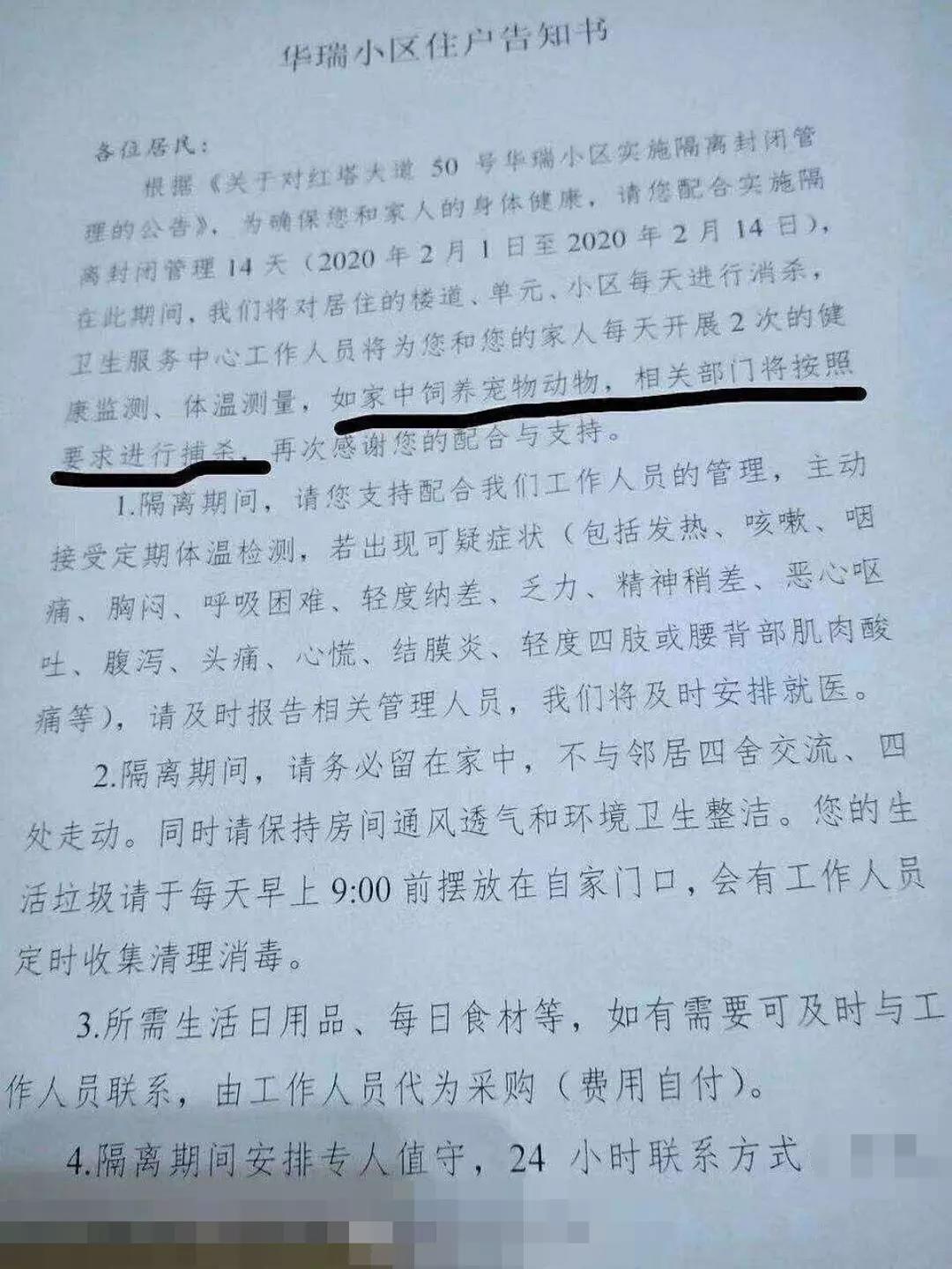 猫狗会不会感染新型冠状病毒 社区有权以此捕杀猫狗吗?