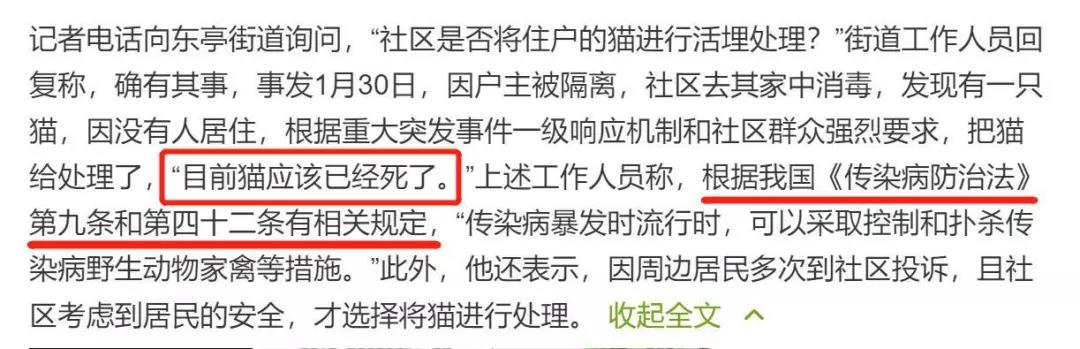 猫狗会不会感染新型冠状病毒 社区有权以此捕杀猫狗吗?
