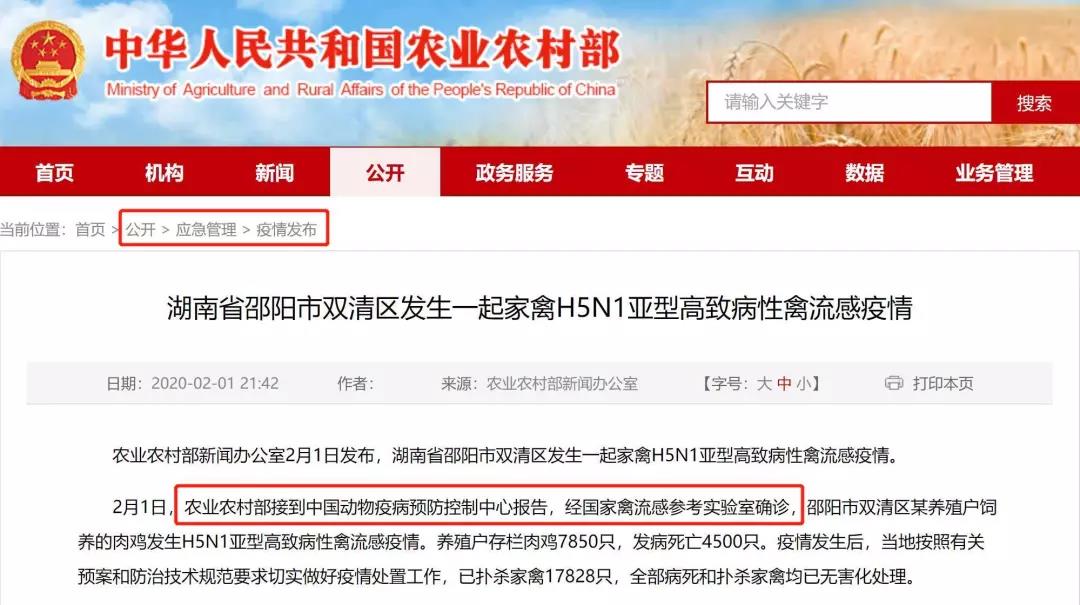 猫狗会不会感染新型冠状病毒 社区有权以此捕杀猫狗吗?