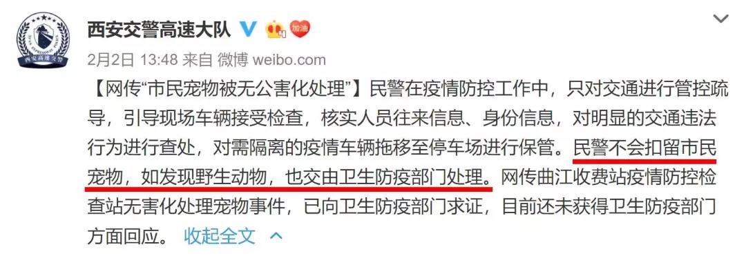 猫狗会不会感染新型冠状病毒 社区有权以此捕杀猫狗吗?