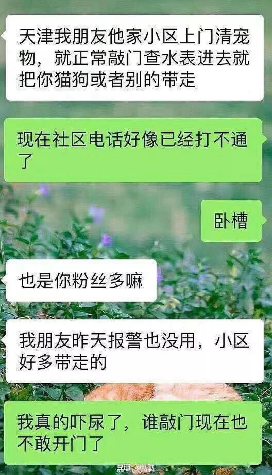 猫狗会不会感染新型冠状病毒 社区有权以此捕杀猫狗吗?