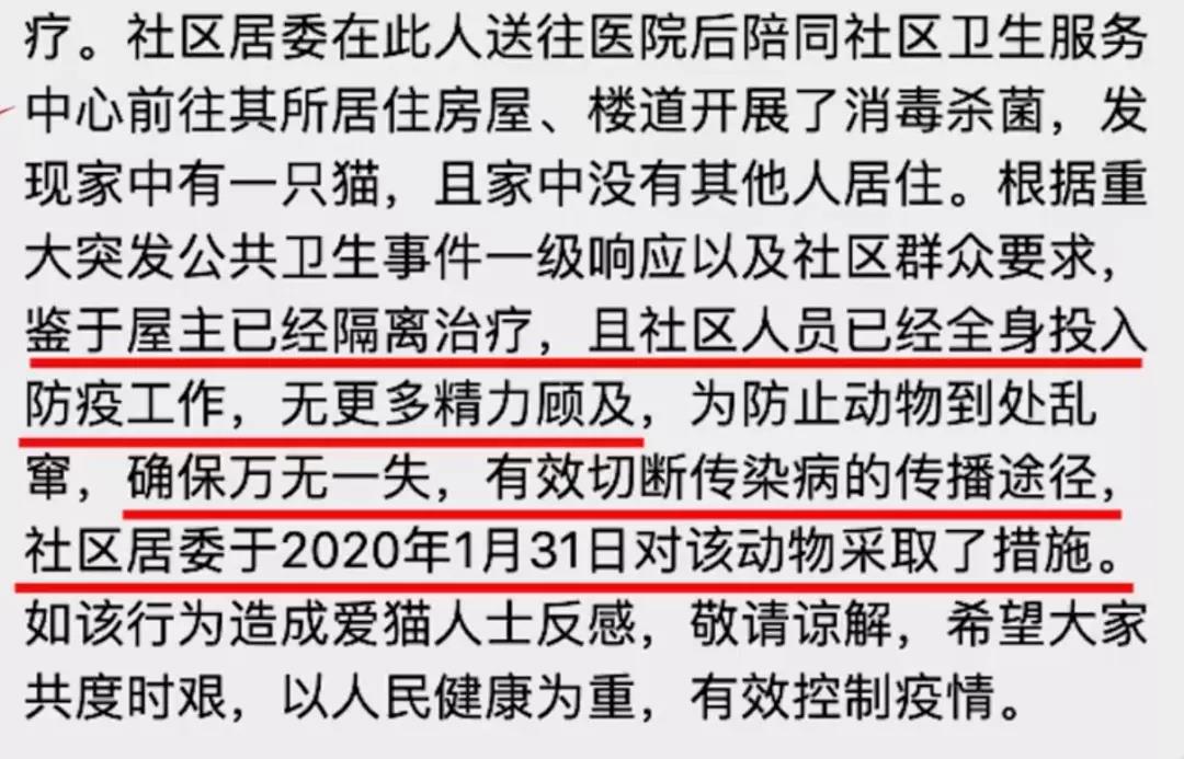 猫狗会不会感染新型冠状病毒 社区有权以此捕杀猫狗吗?