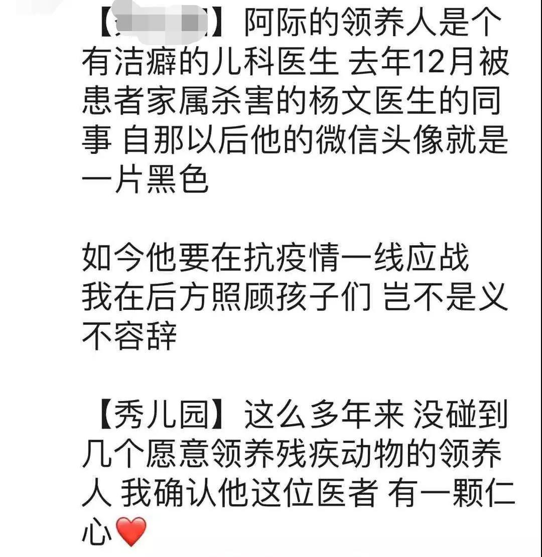 猫狗会不会感染新型冠状病毒 社区有权以此捕杀猫狗吗?