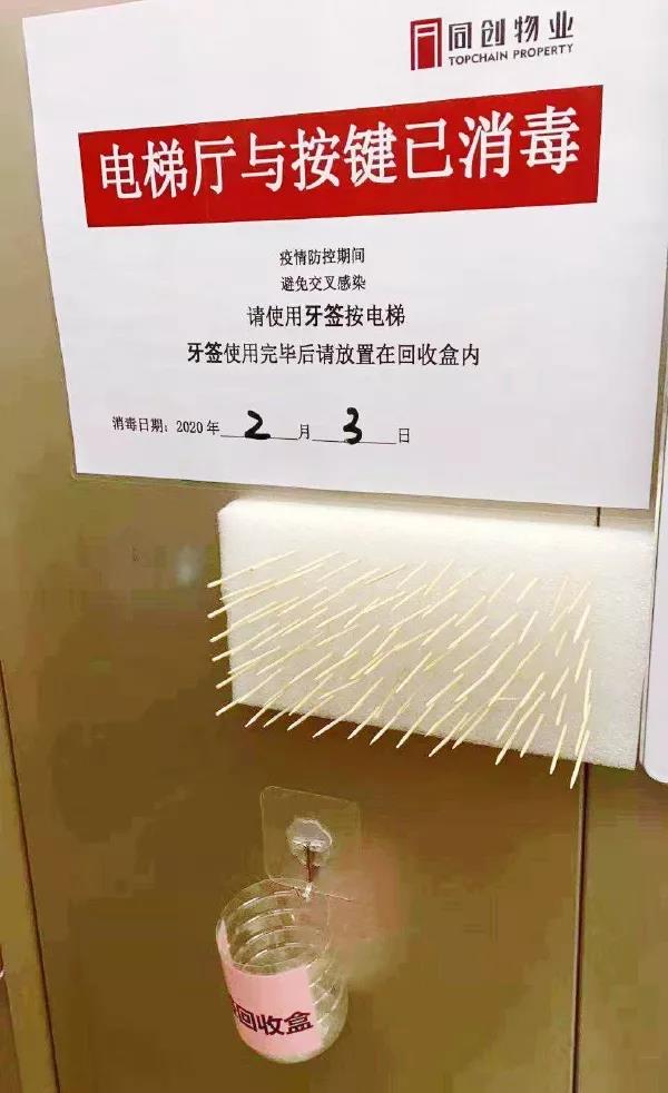 猫狗会不会感染新型冠状病毒 社区有权以此捕杀猫狗吗?