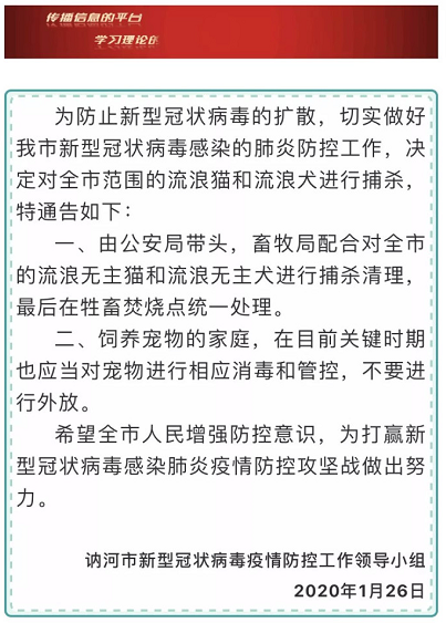 新冠病毒猫被活埋 这种事情真的让人愤怒！