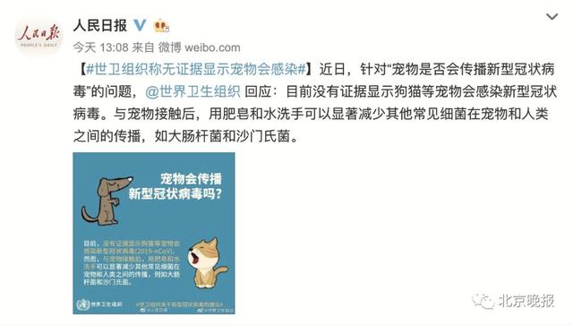 宠物是否携带冠状病毒 人民日报发声了
