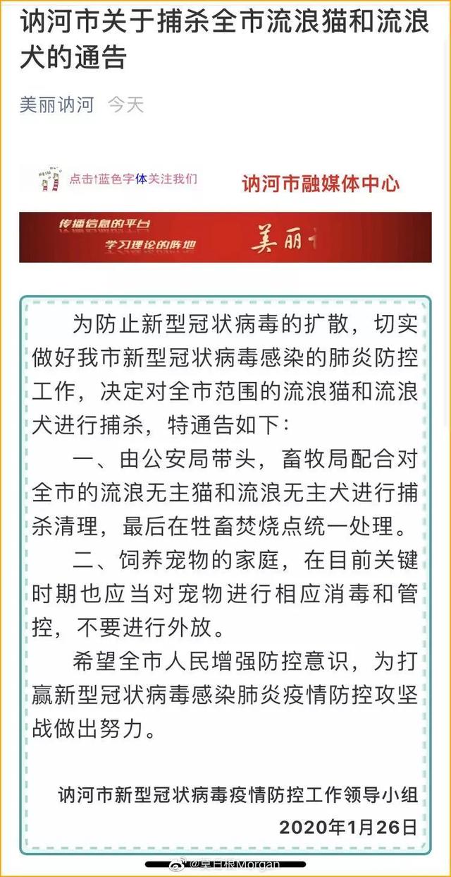 疫情捕杀流浪猫狗 网友声讨成功