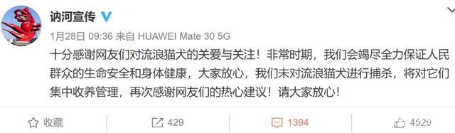 疫情捕杀流浪猫狗 网友声讨成功