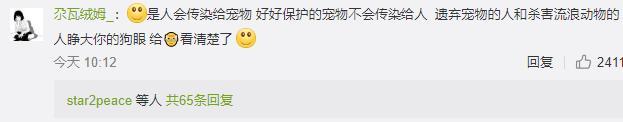 宠物接触到疫情需隔离 别听风就是雨
