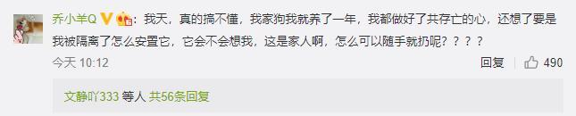 宠物接触到疫情需隔离 别听风就是雨