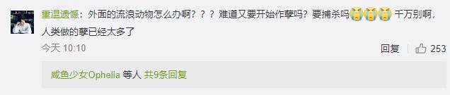 宠物接触到疫情需隔离 别听风就是雨