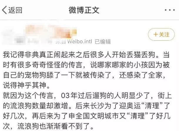宠物接触到疫情需隔离 别听风就是雨