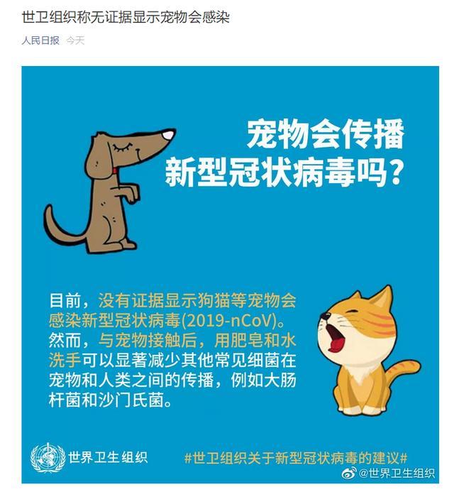 宠物接触到疫情需隔离 别听风就是雨