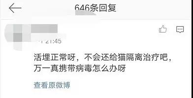 肺炎杀猫狗 “大不了以后再养”