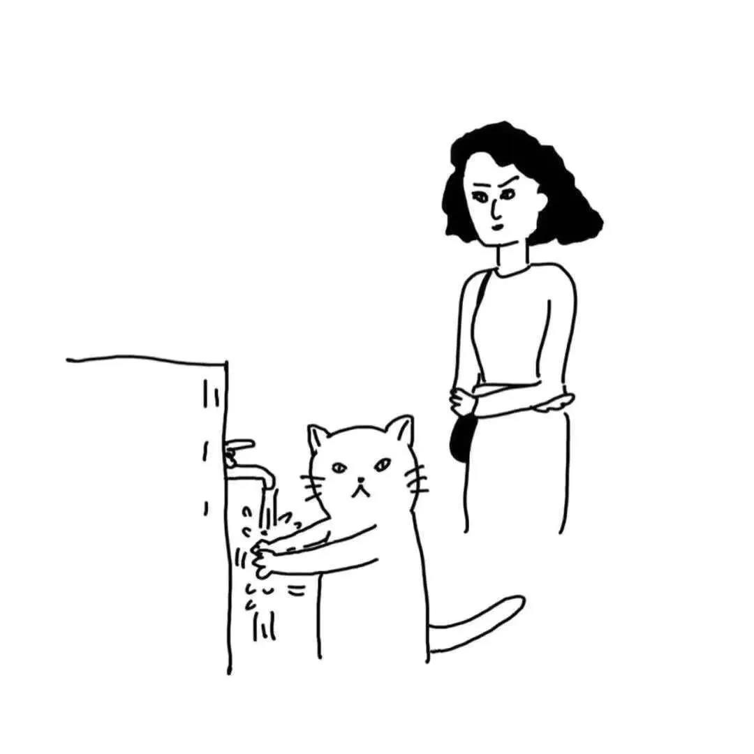 肺炎杀猫狗 “大不了以后再养”