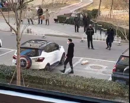 狗狗不会感染新型肺炎 别再狠心抛弃它了