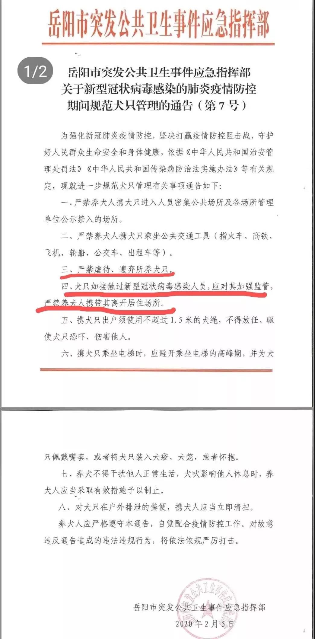 疫情期间遗弃宠物 这些地方的做法值得点赞