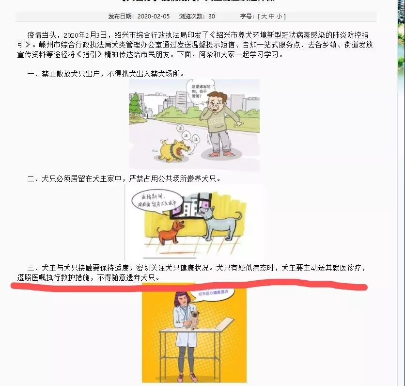 疫情期间遗弃宠物 这些地方的做法值得点赞