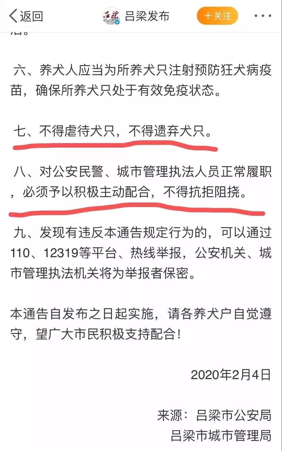 疫情期间遗弃宠物 这些地方的做法值得点赞