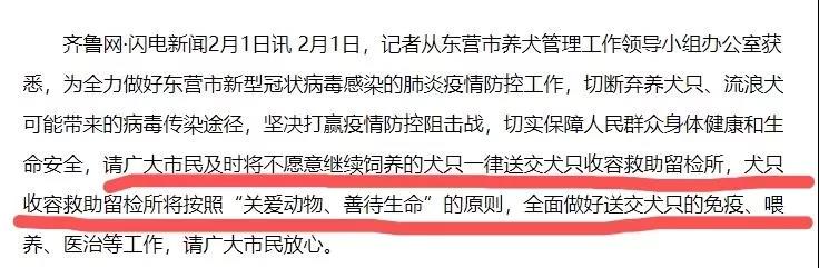 疫情期间遗弃宠物 这些地方的做法值得点赞