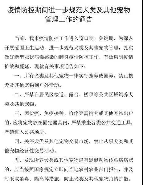 疫情期间遗弃宠物 这些地方的做法值得点赞