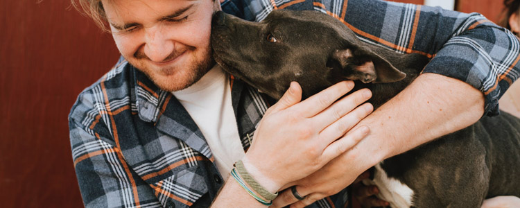 长沙复工时间通知 这些交通信息要知道