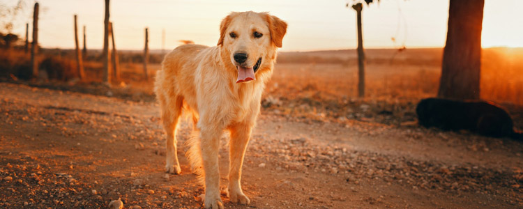 中央出拳力破复工返程高峰交通“梗阻”