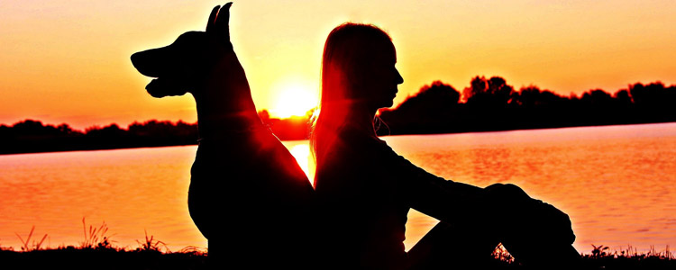 湖南公安交警全力做好 企业复工及道路交通交通安保工作