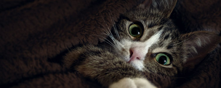 湖南：高速公路重点水运项目全面复工