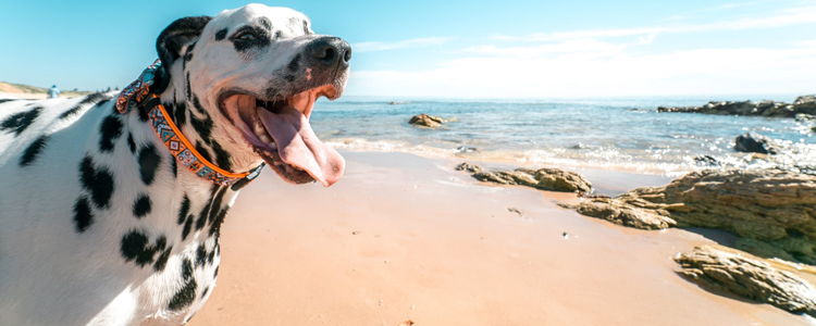 1岁重型新冠肺炎宝宝康复出院 好消息越来越多！