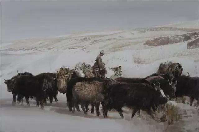 疫情中1655颗星 在另一个世界继续守护