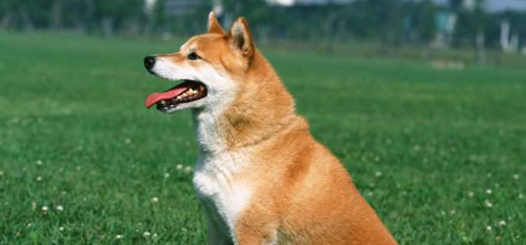 钟南山谈新冠肺炎疫情峰值 巅峰值并不代表拐点！