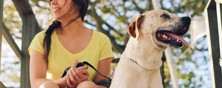 北京3月份部分考试推迟 中高考第二次英语机考推迟