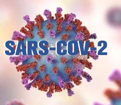 呼吁重新命名新冠病毒 SARS-CoV-2这一命名具有误导性