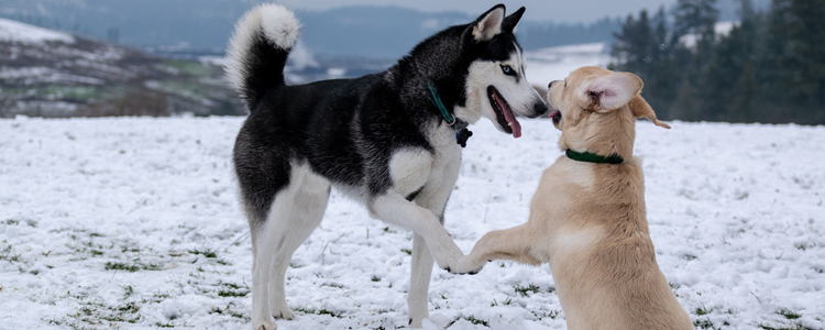杭州民政局复工 要求出示“健康绿码”