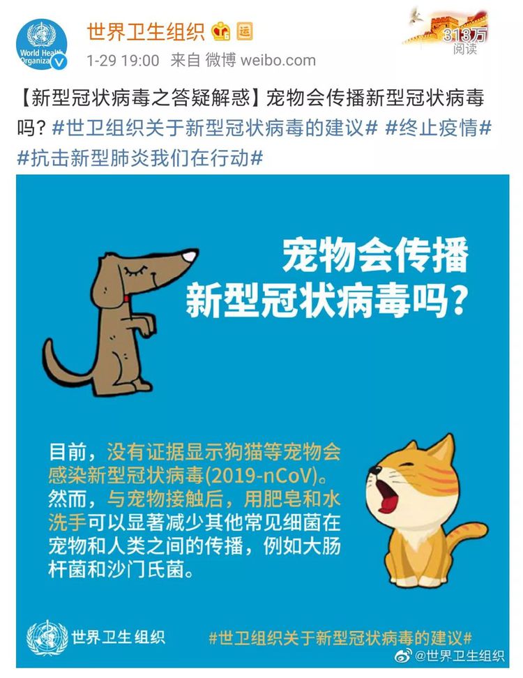 猫狗会不会感染新型冠状病毒？无证据显示猫狗会传染给人