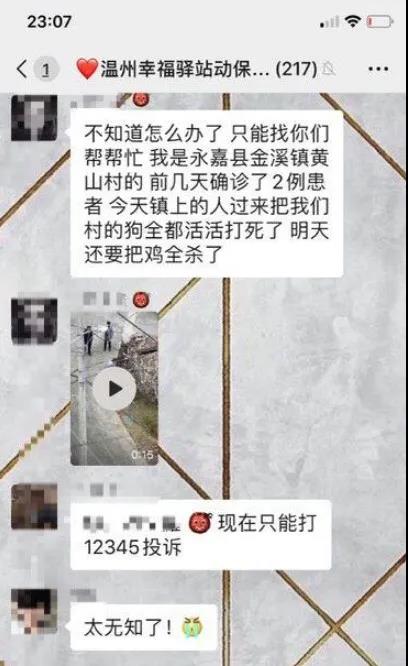 香港狗新冠弱阳性？做好这些就不必担忧！