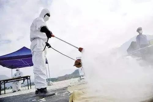 香港检测狗化验结果弱阳性 城市养狗注意哪些问题怎么解决