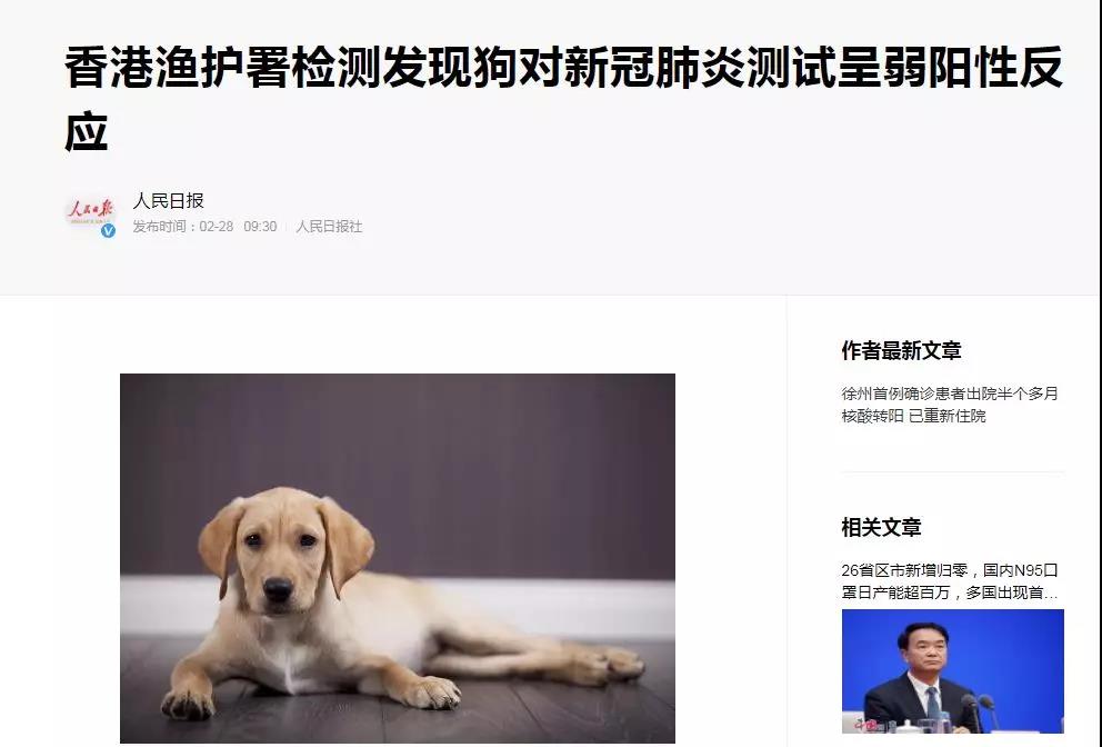 狗狗冠状病毒呈弱阳性之后 世界上真有狗这种动物吗？