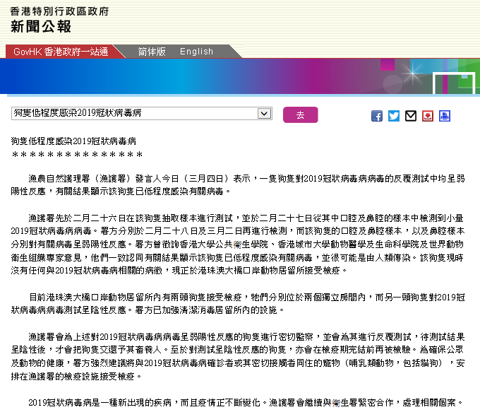 全球首例狗确诊感染新冠病毒 世界首例狗得了新冠肺炎病毒