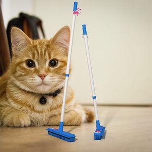 猫为什么喜欢咬扫把上的毛 猫为什么喜欢吃扫把