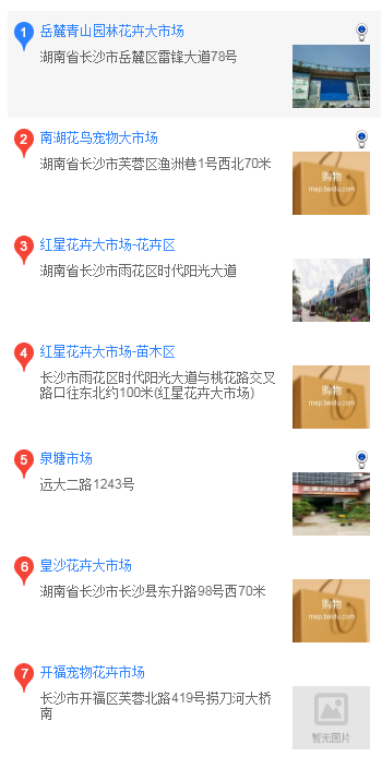 长沙买泰迪 在长沙什么地方买泰迪