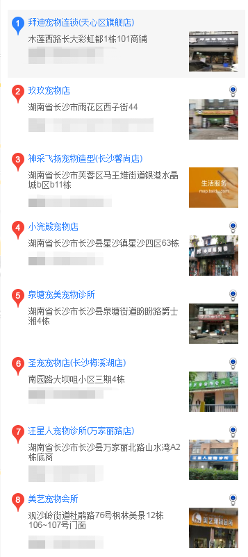 萨摩耶在哪里买 哪里买萨摩耶