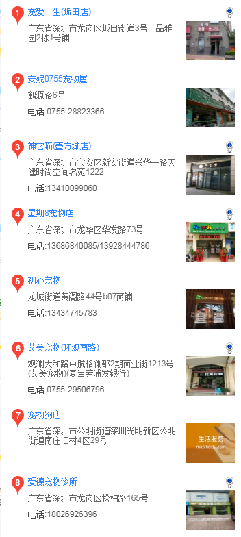 深圳哪里买萨摩耶 深圳在什么地方买萨摩耶